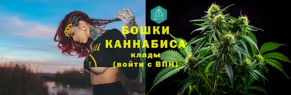 ГАЛЛЮЦИНОГЕННЫЕ ГРИБЫ Белокуриха