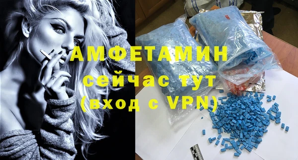 ГАЛЛЮЦИНОГЕННЫЕ ГРИБЫ Белокуриха