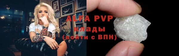 ГАЛЛЮЦИНОГЕННЫЕ ГРИБЫ Белокуриха