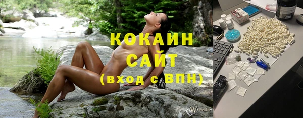 ГАЛЛЮЦИНОГЕННЫЕ ГРИБЫ Белокуриха