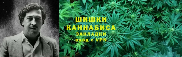 ГАЛЛЮЦИНОГЕННЫЕ ГРИБЫ Белокуриха