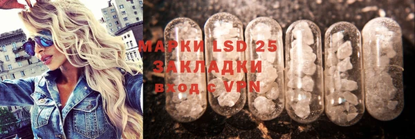 ГАЛЛЮЦИНОГЕННЫЕ ГРИБЫ Белокуриха